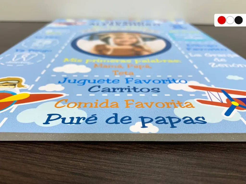 Cartel de Bienvenida Avion [CBAV1000-2].webp