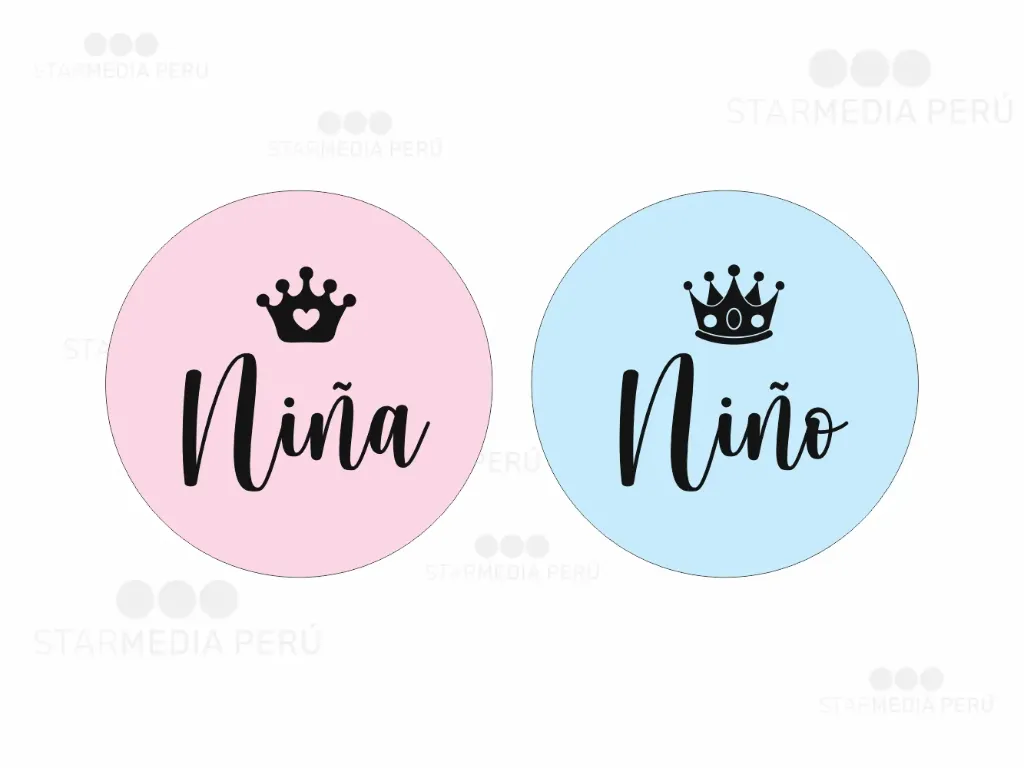 Cartel de Bienvenida Votación para Revelación de Género [CBRG1002-1].webp