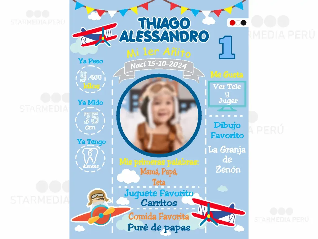 Cartel de Bienvenida Avión